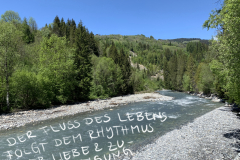 Lebensfluss