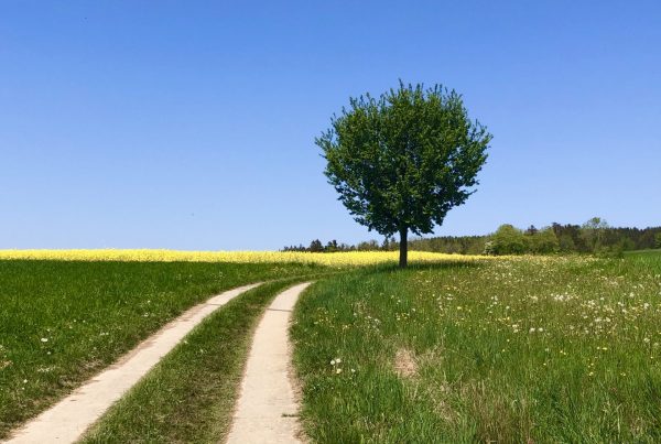 wasmichbrummschädellehrt