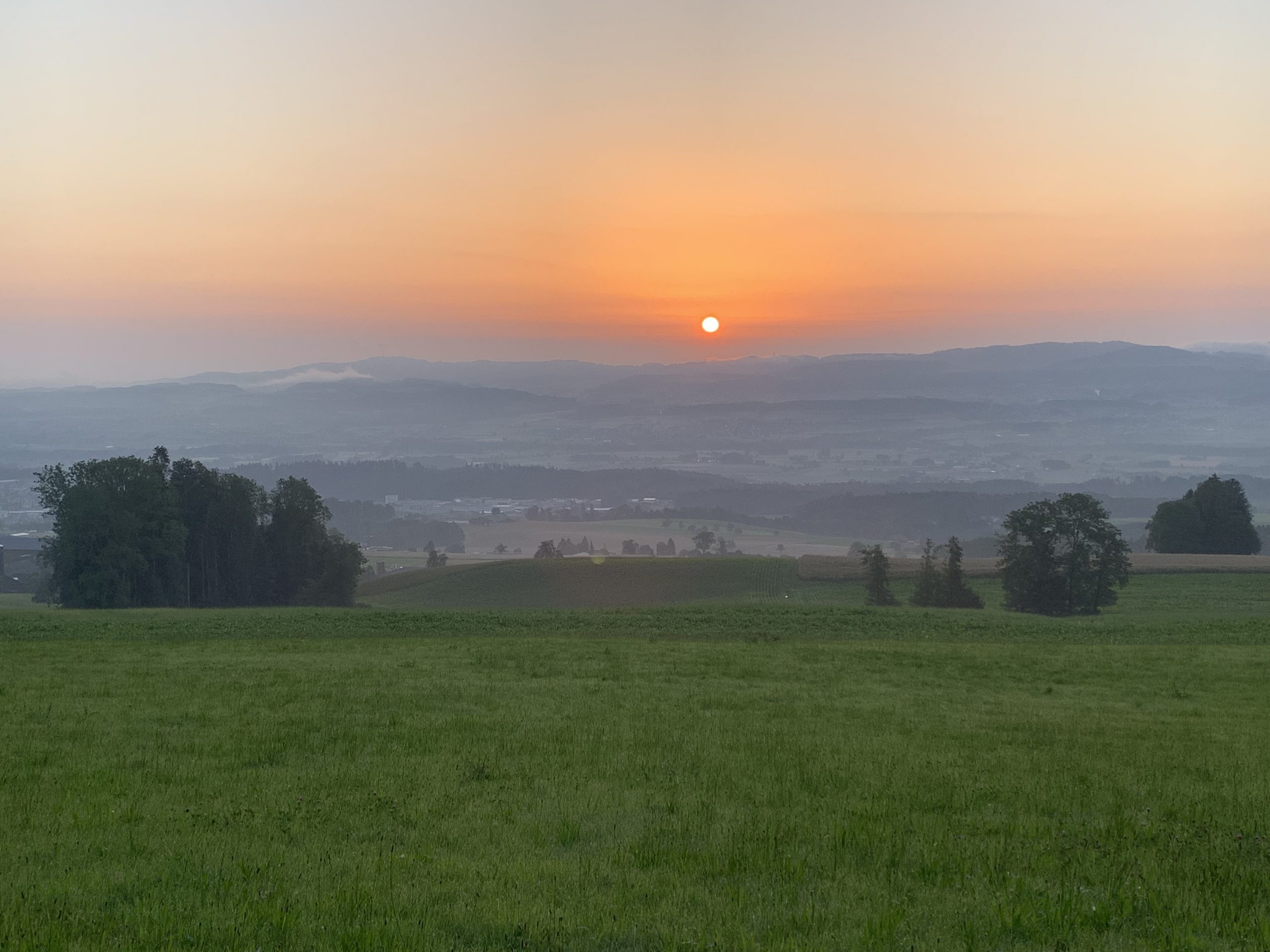 Manchmal braucht es den Rückzug, um besser vorwärts zu kommen