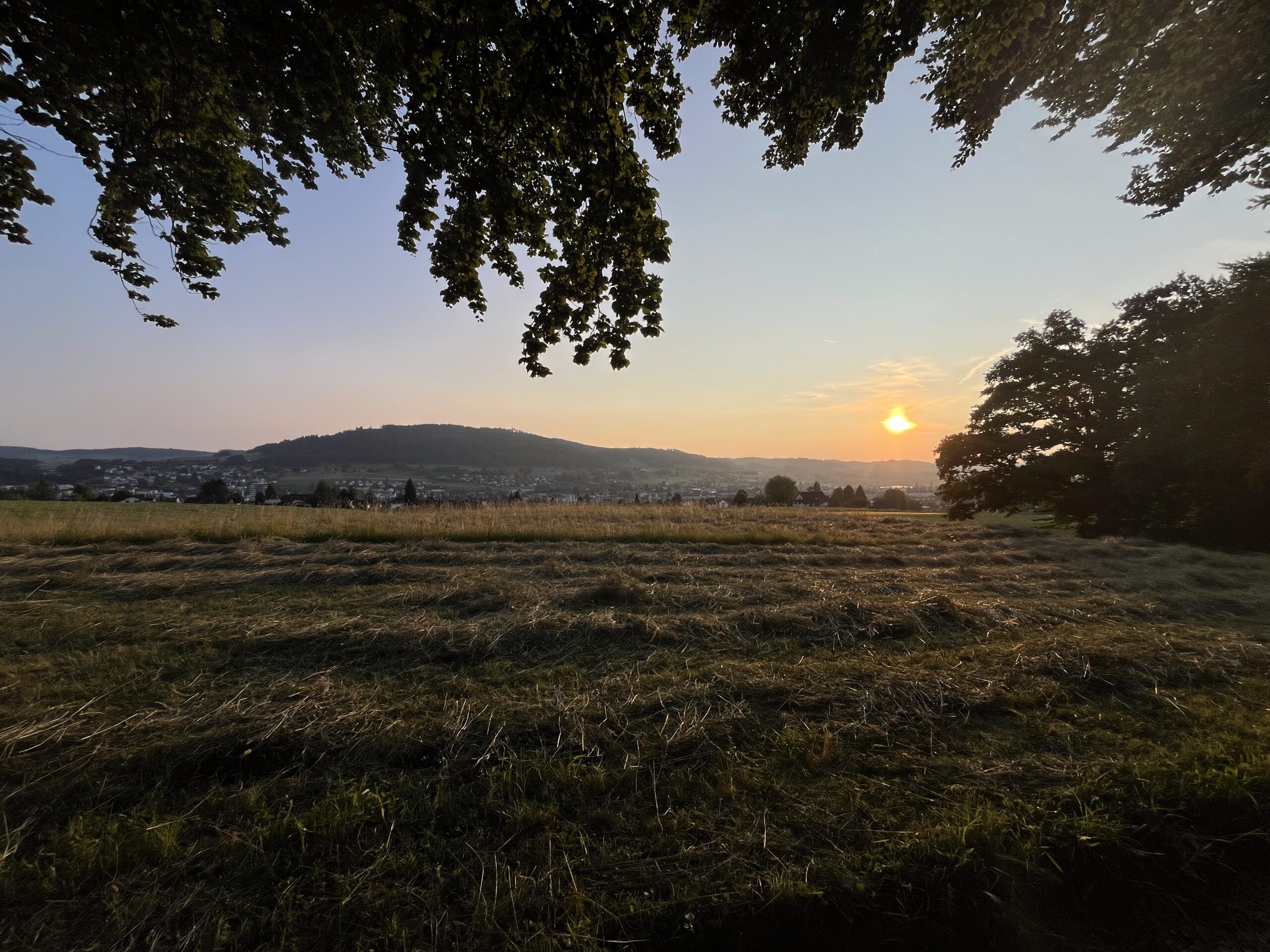 Floskeln mit Nebenwirkung: Warum gut gemeint oft nicht gut tut.